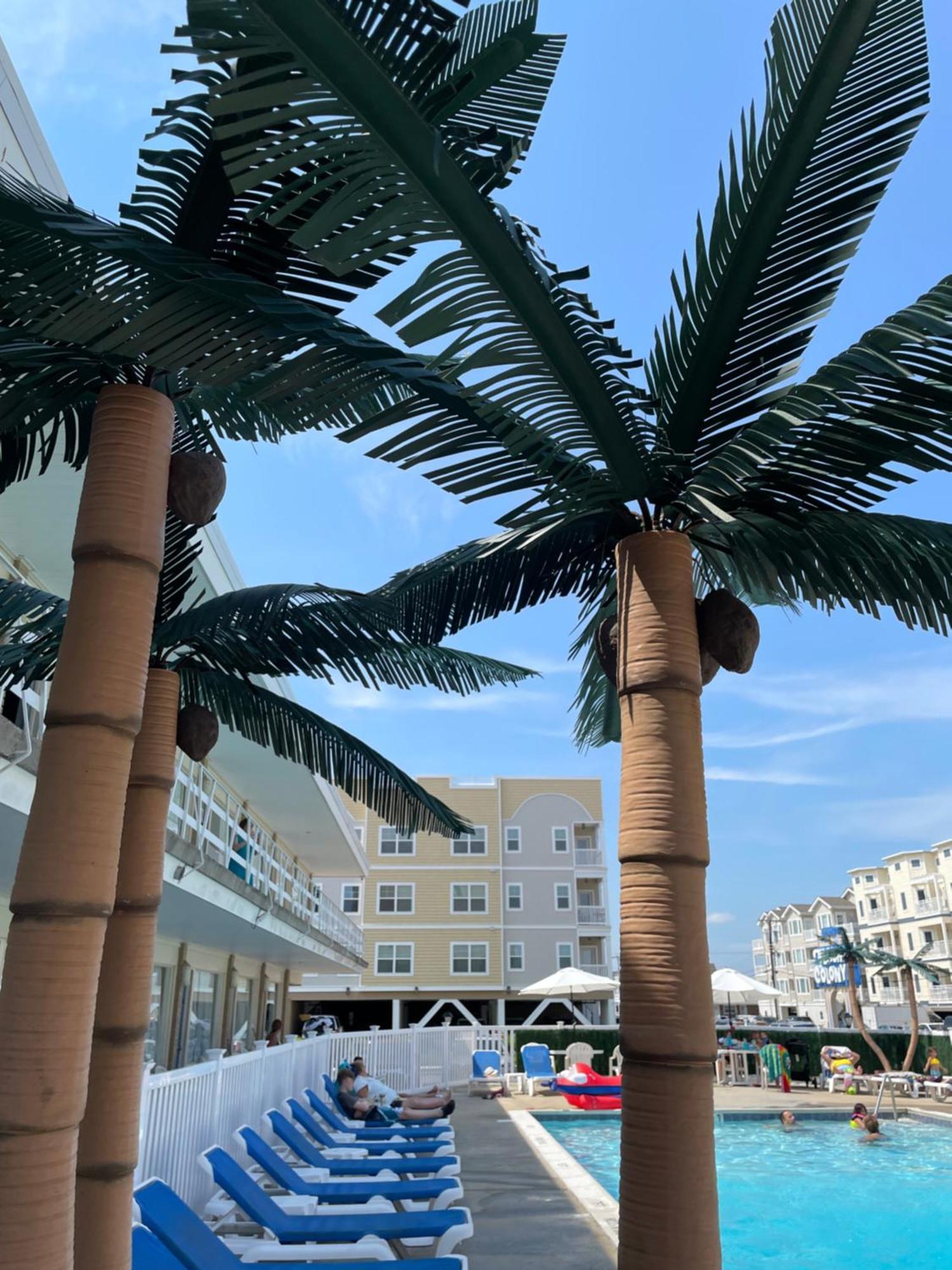 克罗尼海滩汽车旅馆 威尔伍德克拉斯特 外观 照片